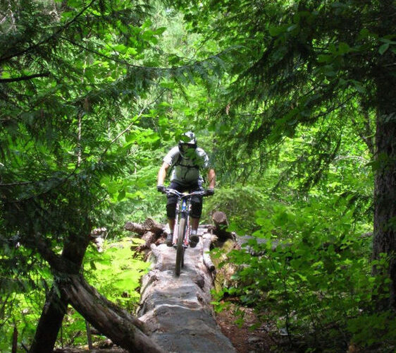 wcfg_log.jpg wcfg_log.jpg