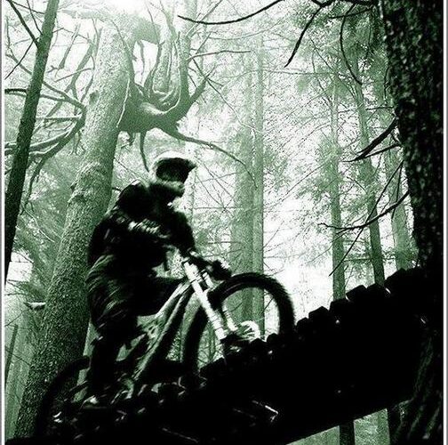 pbpic292454.jpg pbpic292454.jpg