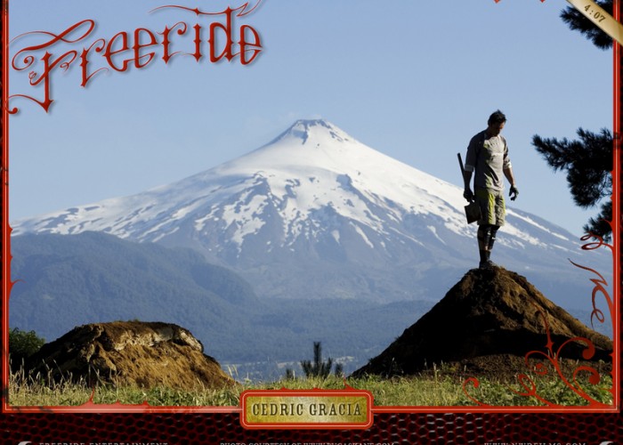 Cedric Gracia NWD 8