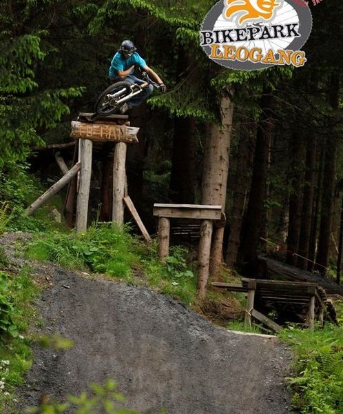 Bikepark-Leogang.jpg