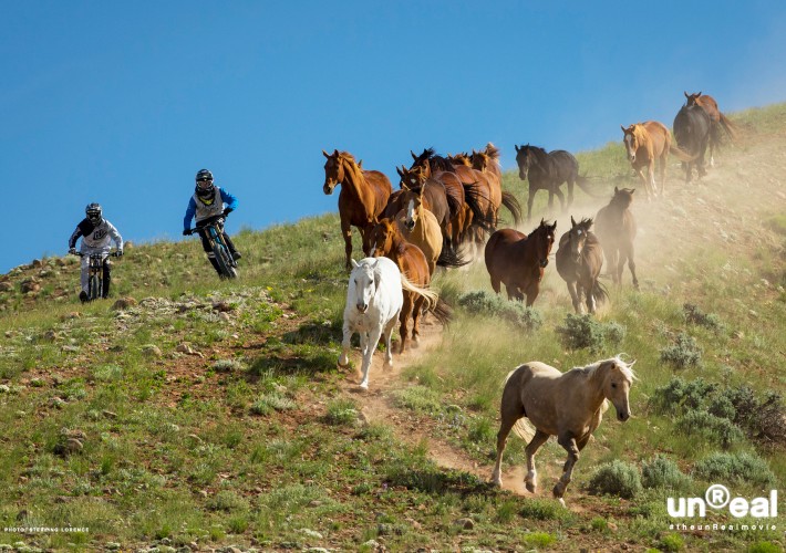 anthill unreal teaser