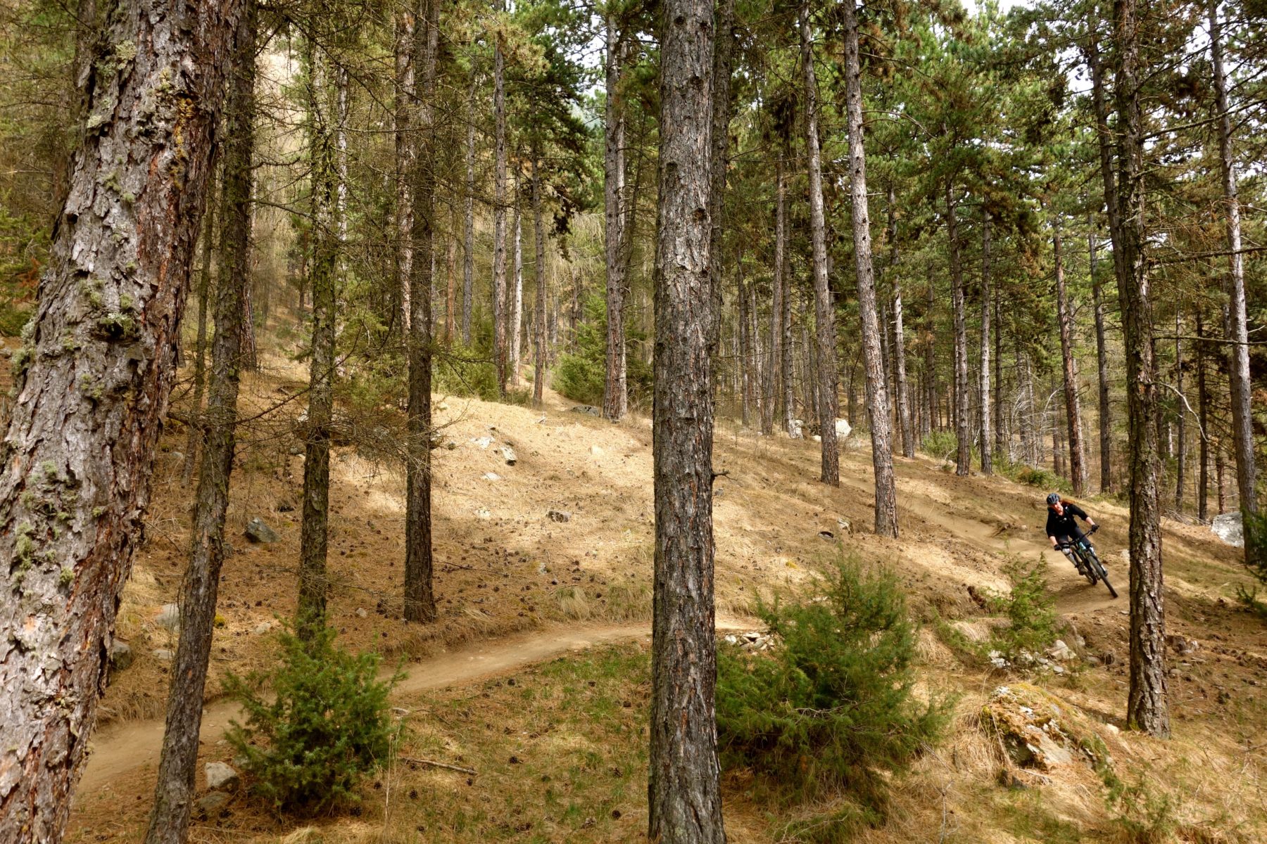 vinschgau-bike-latsch-mtb-propain-holly-hansen-4