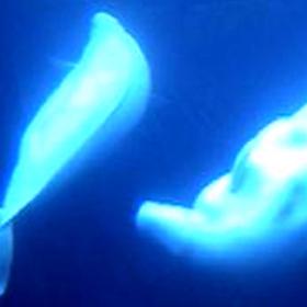 Aquarium_Beluga7