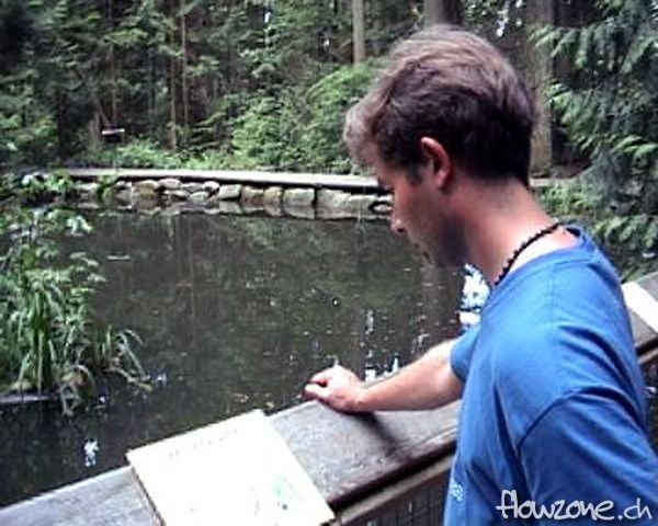 Dave_Capilano3