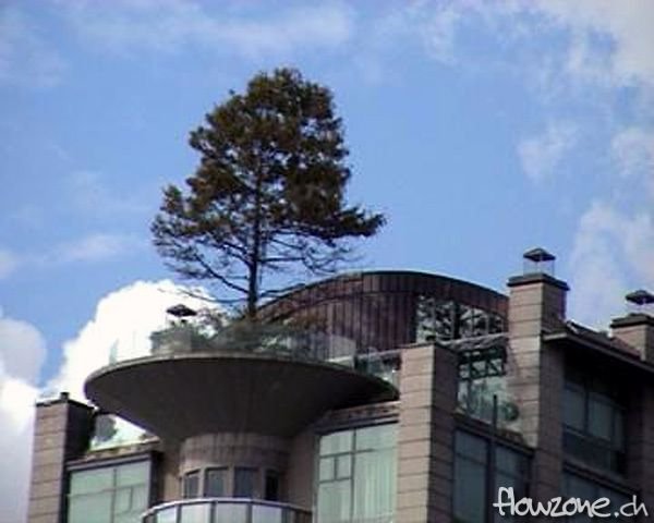 Penthouse