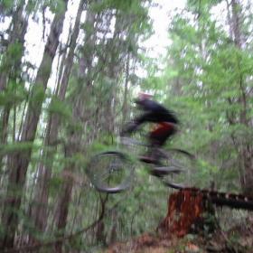 d_nelson_drop_02_JPG