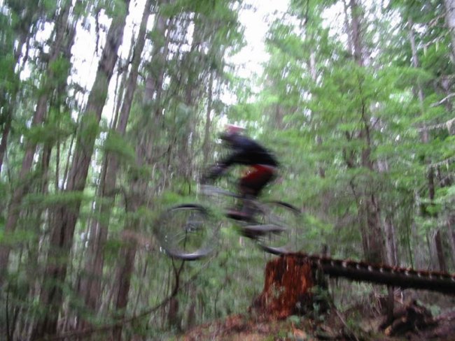 d_nelson_drop_02_JPG
