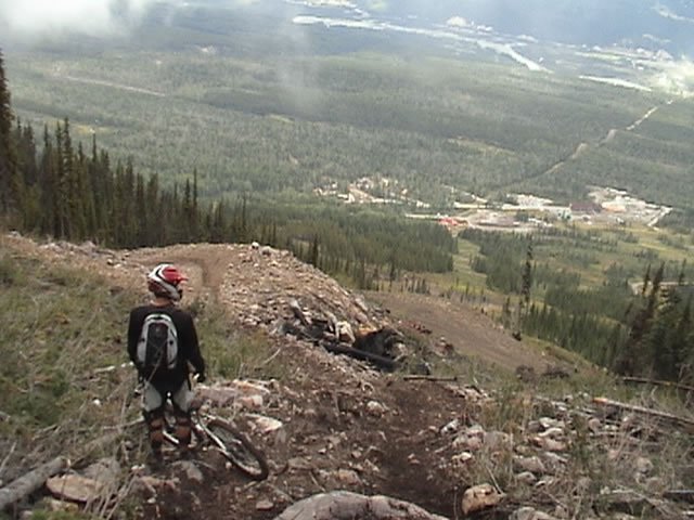 view_golden_JPG