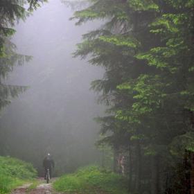 mtb-freeride-klosters-14