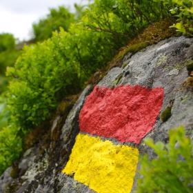 mtb-freeride-klosters-7