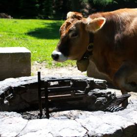 mtb-freeride-klosters-rinerhorn-3