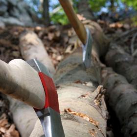 gigeliwald-bautag-g_tsch-10