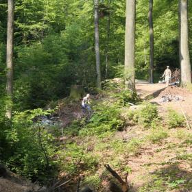 gigeliwald-bautag-g_tsch-2