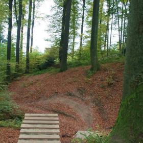 luzern-guetsch-freeride