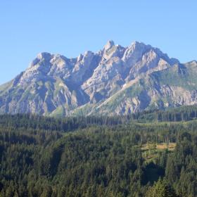 IMG_5290