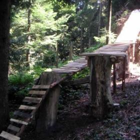 ns_meggerwald2