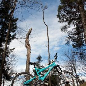 specialized-sx-trail-2