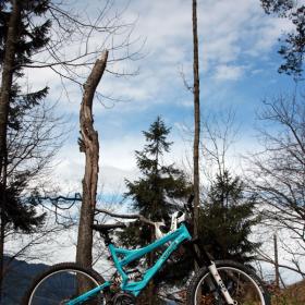 specialized-sx-trail-white