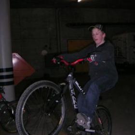 normal_Lucky_Wheelie
