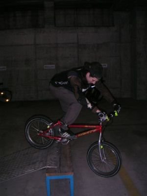 normal_tobi_trial