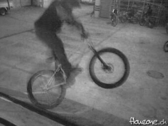 thumb_mischa_turn