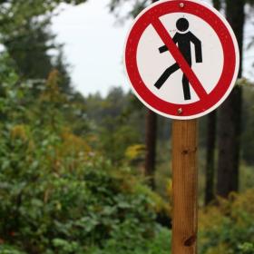 schwanden-brienz-trail-9