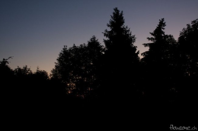IMG_5052