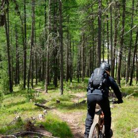 livigno-mtb-downhill-12