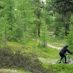 mtb-downhill-livigno-10