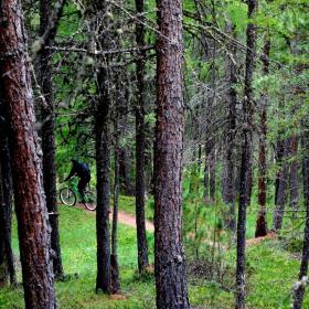 mtb-downhill-livigno-16