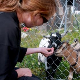 aletsch-jungfrau-mtb-freeride-7