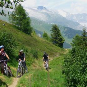belalp_trail