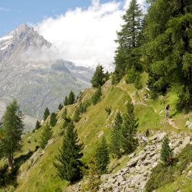 mtb-freeride-riederalp-200921