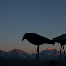 mtb-freeride-riederalp-200932