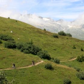 mtb-freeride-riederalp-200945