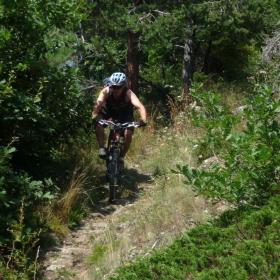 vale_trail