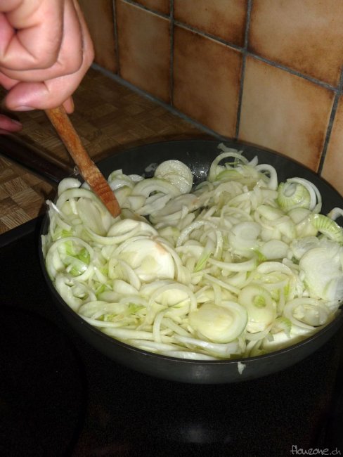 zwiebeln