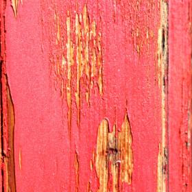 wallis-aletsch-mtb-58